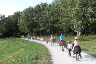 Ponybande - Sanspareil