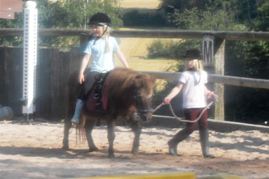 Ponybande - Sanspareil